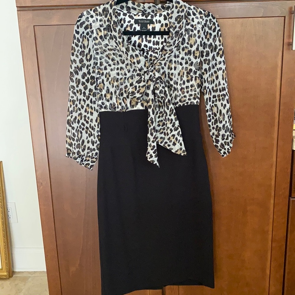 One piece leopard blouse and solid crepe skirt